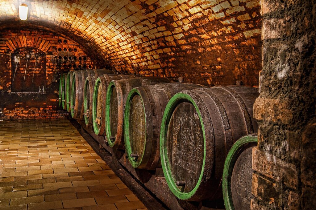 cave a vin brignais
